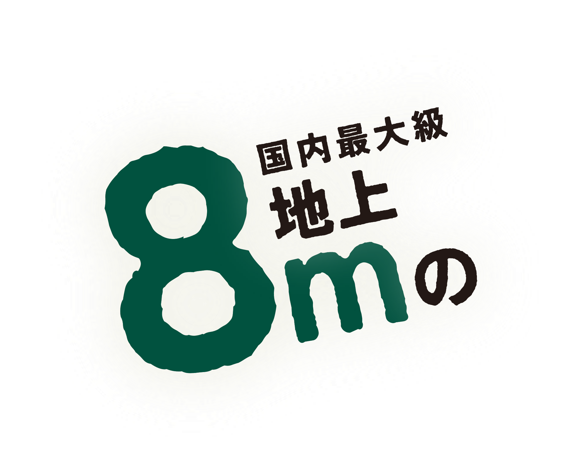 国内最大級地上8mの